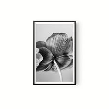 Cargar imagen en el visor de la galería, Botanica
