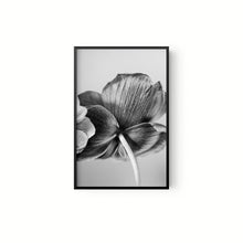 Cargar imagen en el visor de la galería, Botanica
