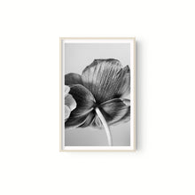 Cargar imagen en el visor de la galería, Botanica
