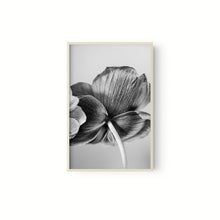 Cargar imagen en el visor de la galería, Botanica
