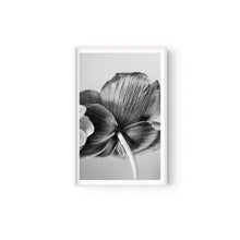 Cargar imagen en el visor de la galería, Botanica
