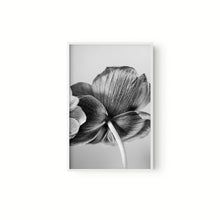 Cargar imagen en el visor de la galería, Botanica
