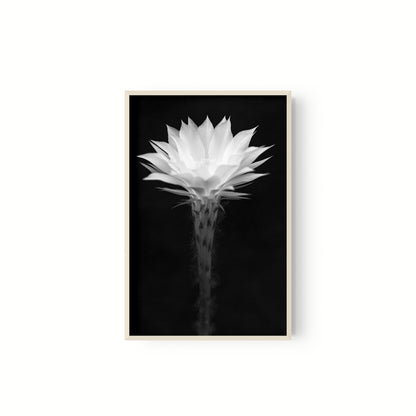 En flor