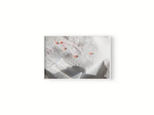 Cargar imagen en el visor de la galería, Granada y sombra II
