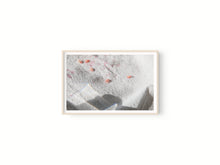 Cargar imagen en el visor de la galería, Granada y sombra II
