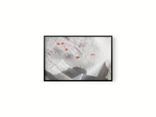 Cargar imagen en el visor de la galería, Granada y sombra II
