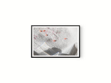 Cargar imagen en el visor de la galería, Granada y sombra II
