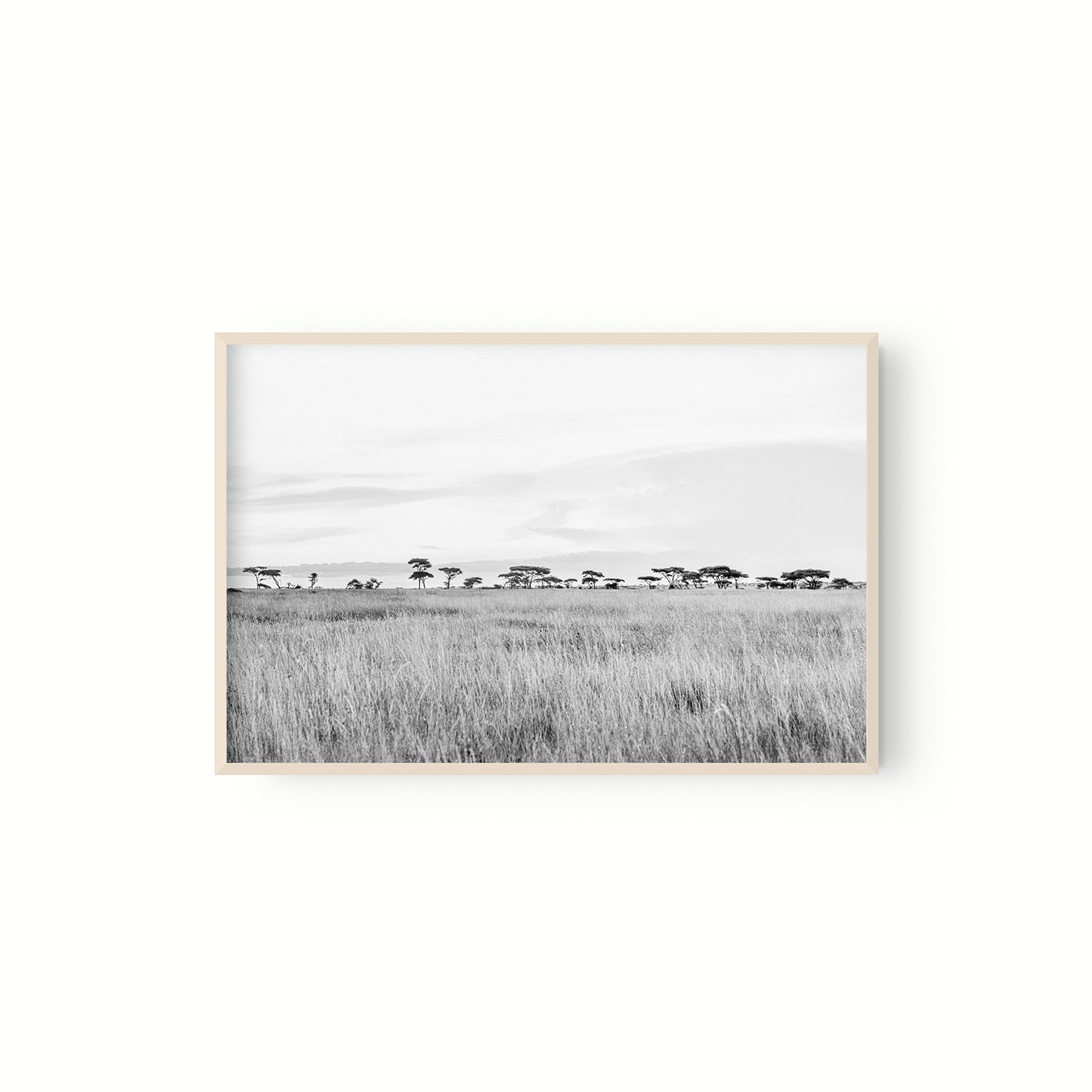 Horizonte
