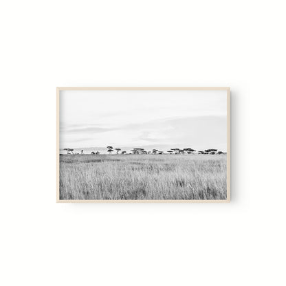 Horizonte