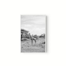 Cargar imagen en el visor de la galería, Jirafa
