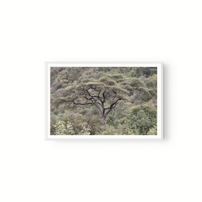 La Selva