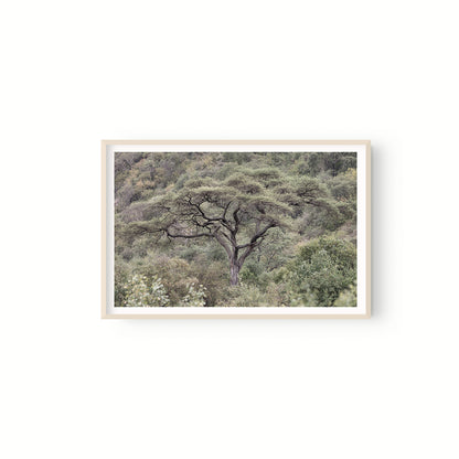 La Selva