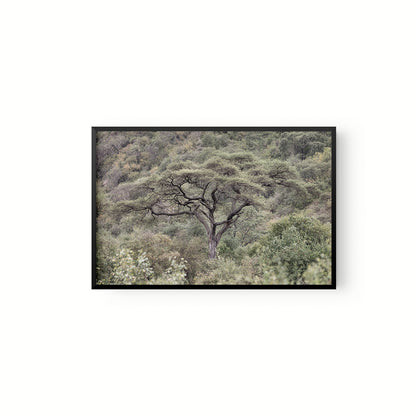 La Selva