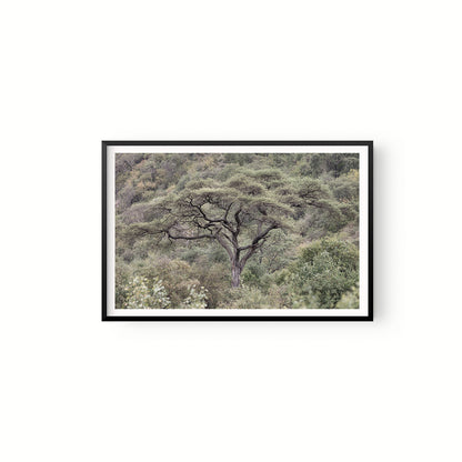 La Selva