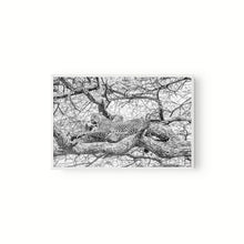 Cargar imagen en el visor de la galería, Leopardo
