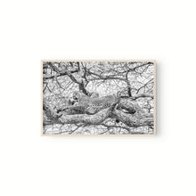 Cargar imagen en el visor de la galería, Leopardo
