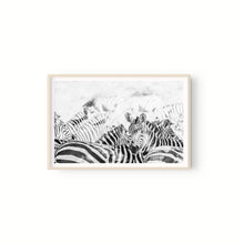 Cargar imagen en el visor de la galería, Manada Zebras
