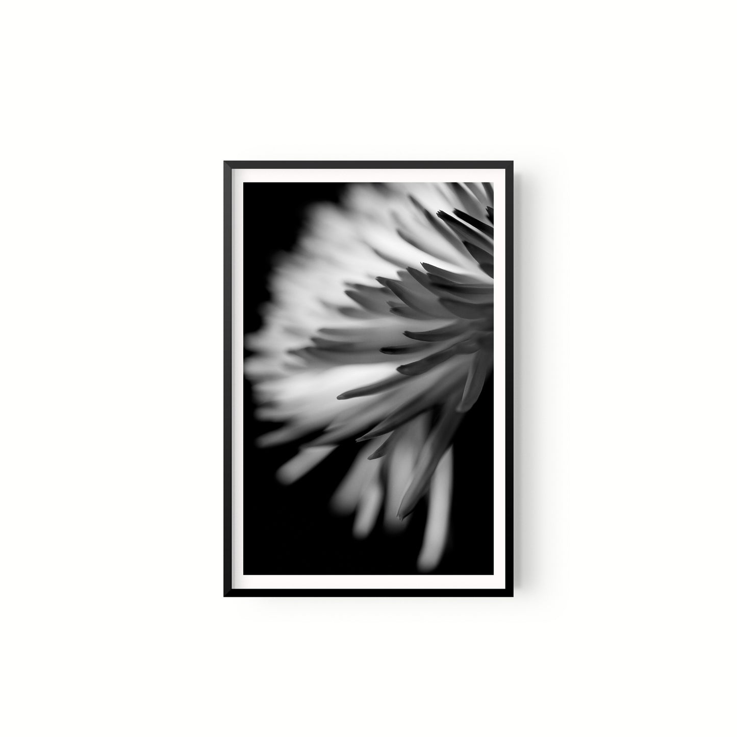 Negativo de flor