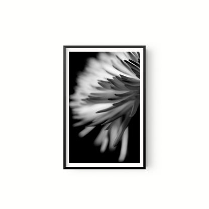 Negativo de flor