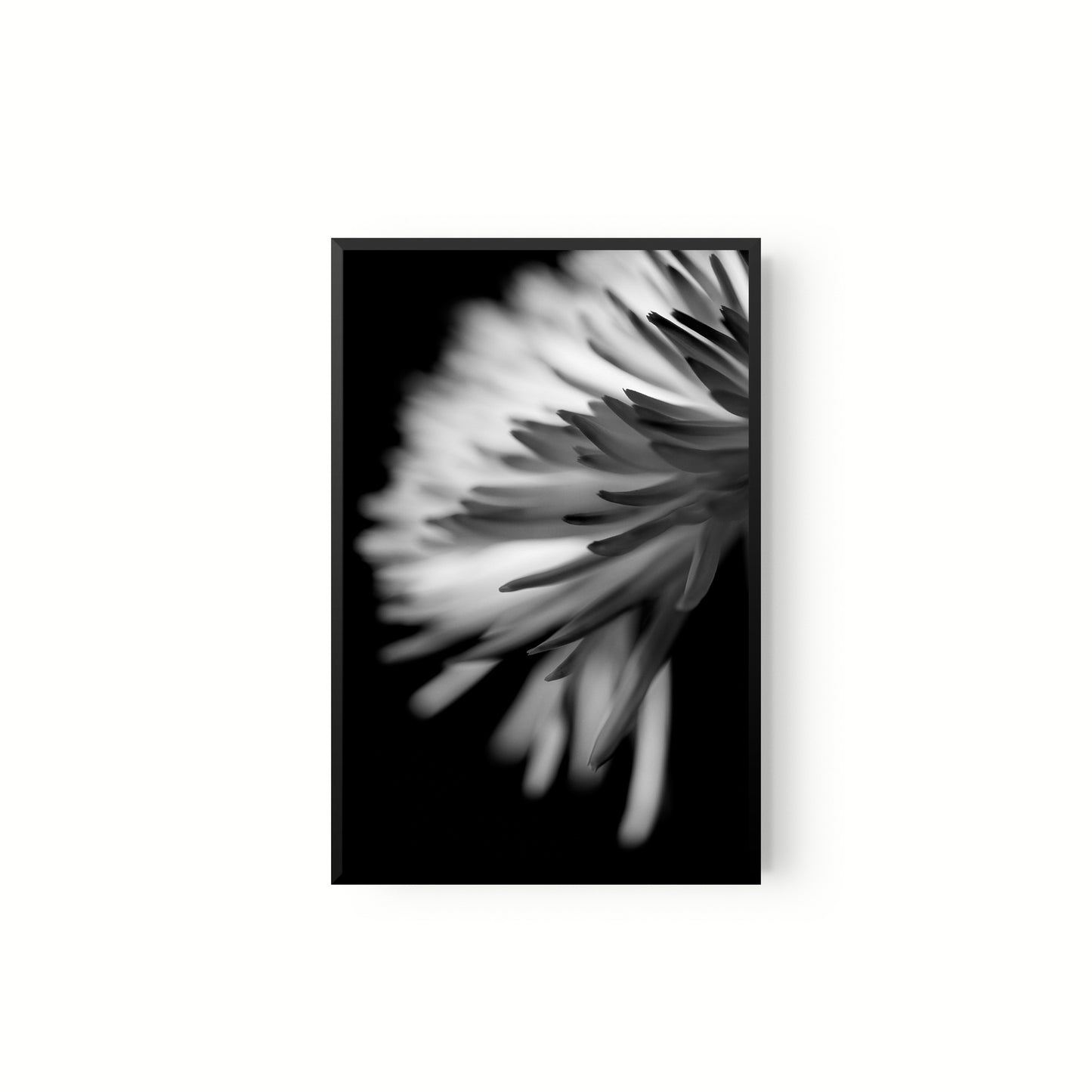 Negativo de flor