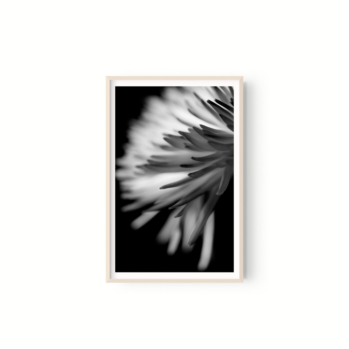 Negativo de flor