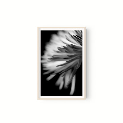 Negativo de flor