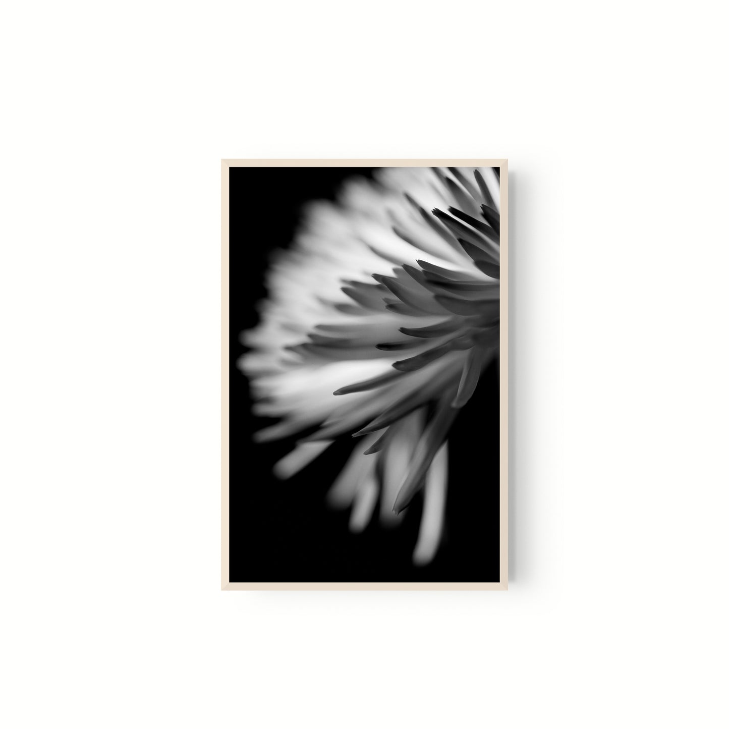 Negativo de flor