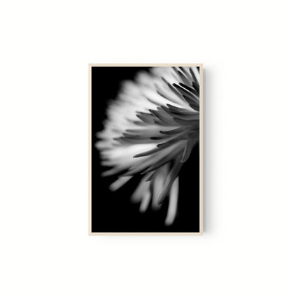 Negativo de flor