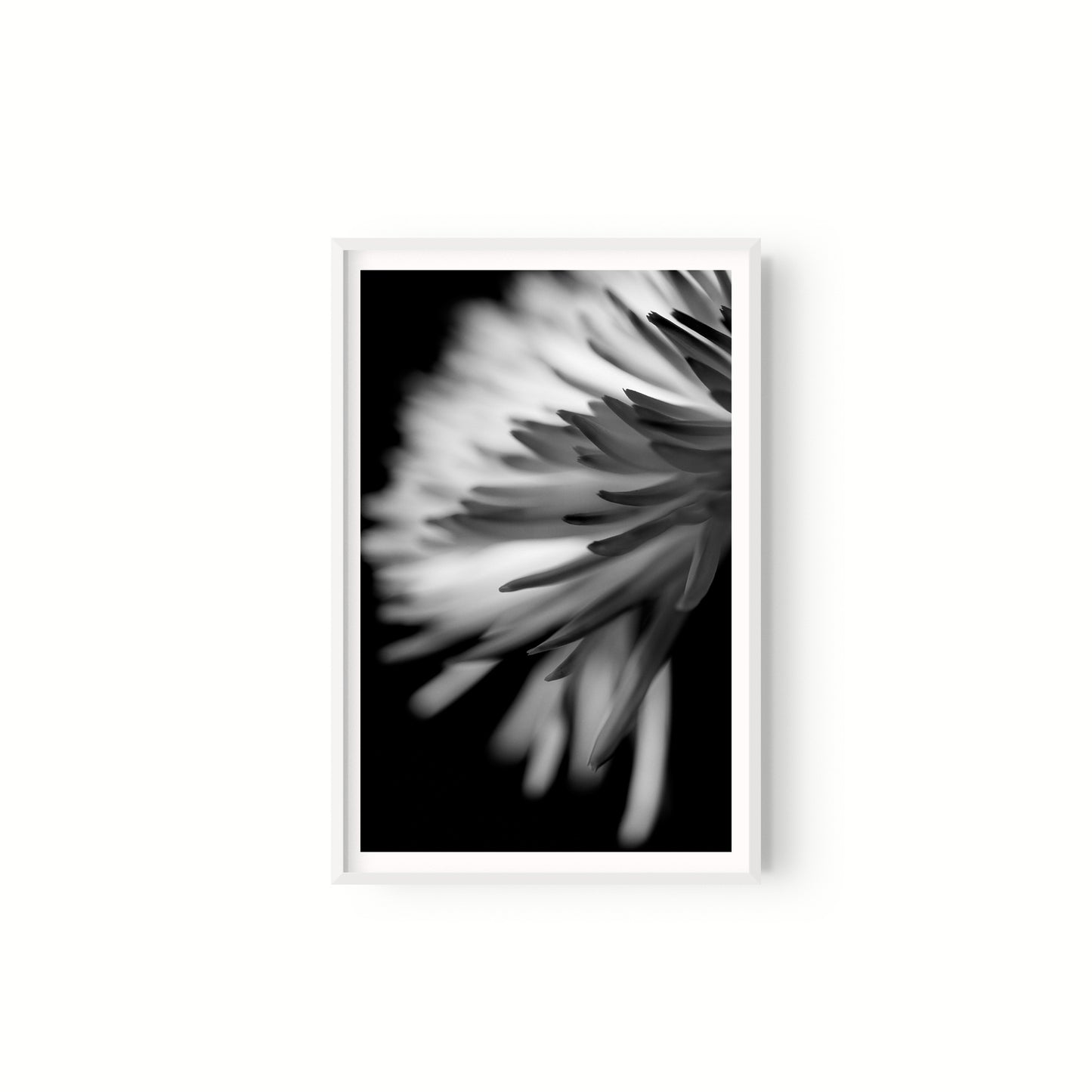 Negativo de flor