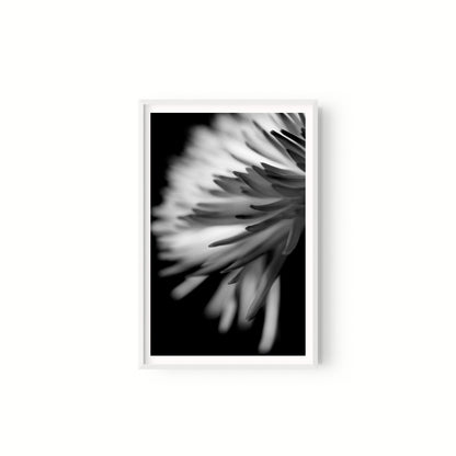 Negativo de flor