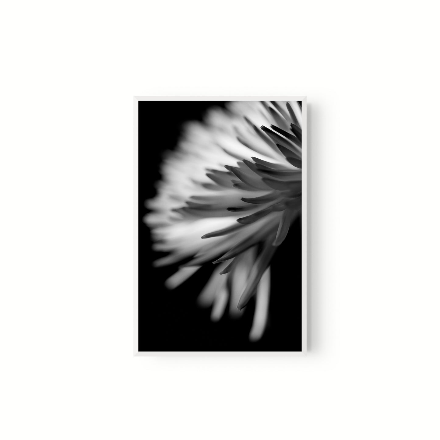 Negativo de flor