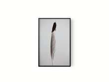 Cargar imagen en el visor de la galería, Estudio Pluma I
