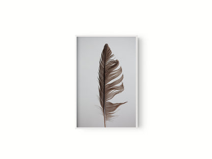 Estudio Pluma II