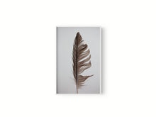 Cargar imagen en el visor de la galería, Estudio Pluma II
