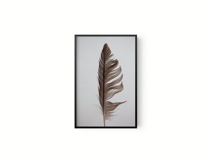 Estudio Pluma II