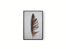 Cargar imagen en el visor de la galería, Estudio Pluma II
