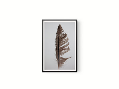 Estudio Pluma II