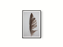 Cargar imagen en el visor de la galería, Estudio Pluma II
