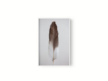 Cargar imagen en el visor de la galería, Estudio Pluma III
