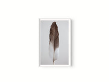Cargar imagen en el visor de la galería, Estudio Pluma III
