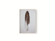 Cargar imagen en el visor de la galería, Estudio Pluma III
