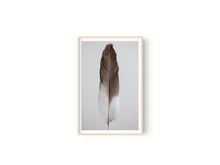 Cargar imagen en el visor de la galería, Estudio Pluma III
