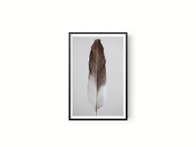 Cargar imagen en el visor de la galería, Estudio Pluma III

