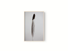 Cargar imagen en el visor de la galería, Estudio Pluma I
